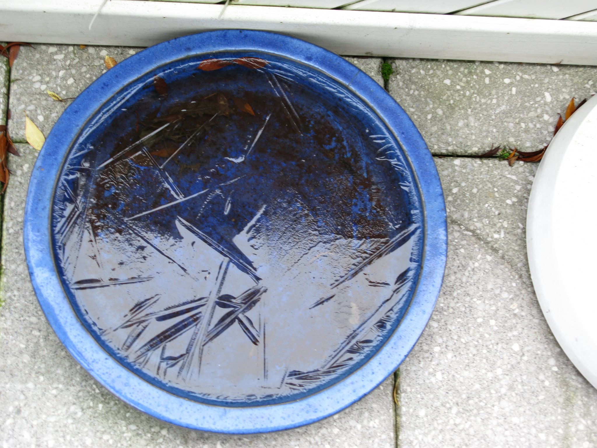 Es wird Kalt , das erste Eis auf der Terrasse.