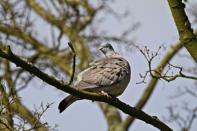 Auch ich möchte einmal im Lokalkompass erscheinen . . .