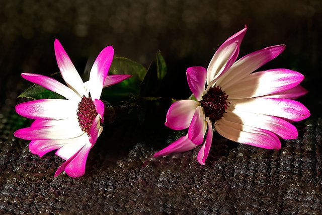 1. Makro, bin über Kritiken dankbar . . .