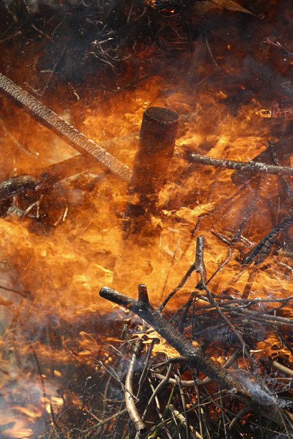 In die Flammen gesehen . . .