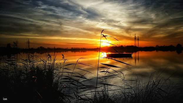 Ich fand das Bild so schön, das ich es hier zeigen wollte! Natürlich mit der Genehmigung der Fotografin Ise Wessels