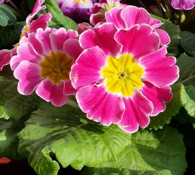 Wann Wird Es Endlich Fruhling