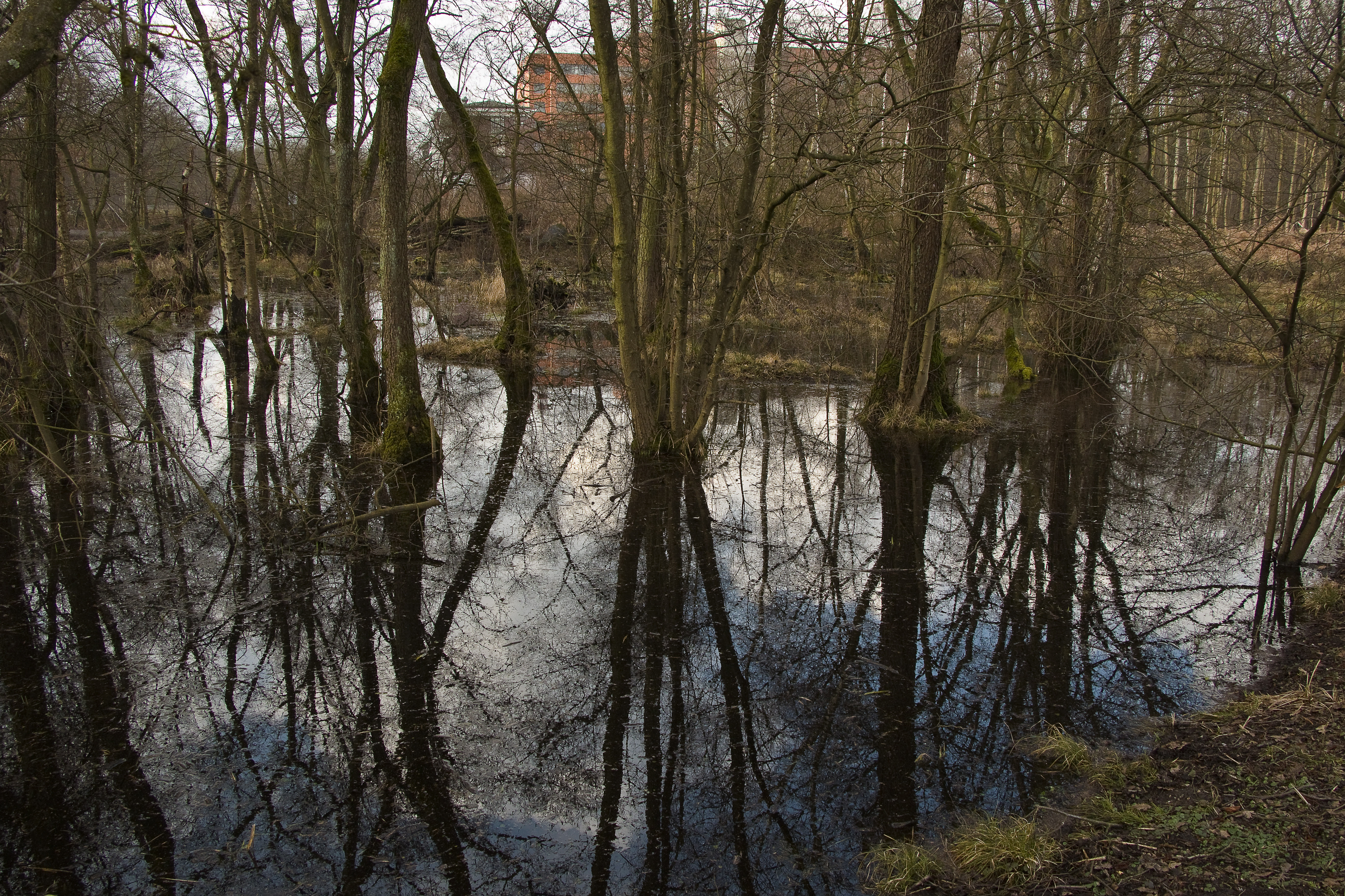 Spiegelung 1