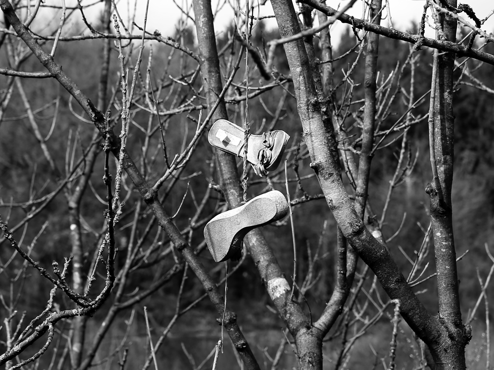 Fotokünstler Jürgen Cordt