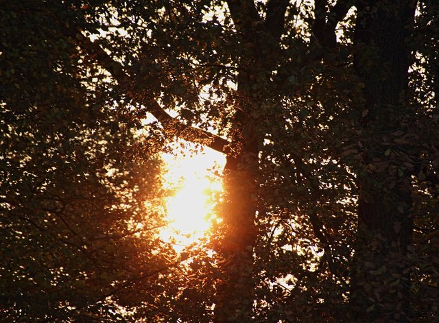 Die Sonne Geht Gleich