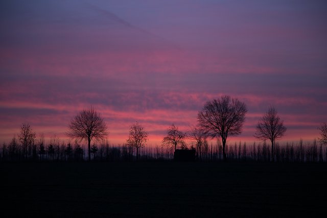 Sonnenaufgang Heute Uber Einer Baumschule In Methler