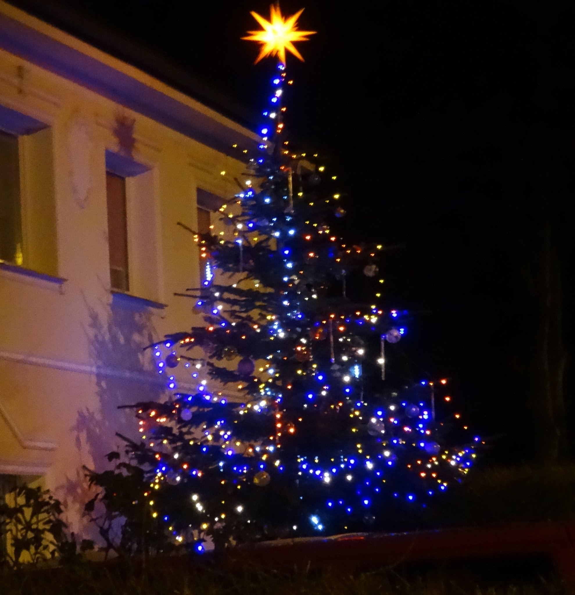 Geschmückter Tannenbaum in Brünninghausen