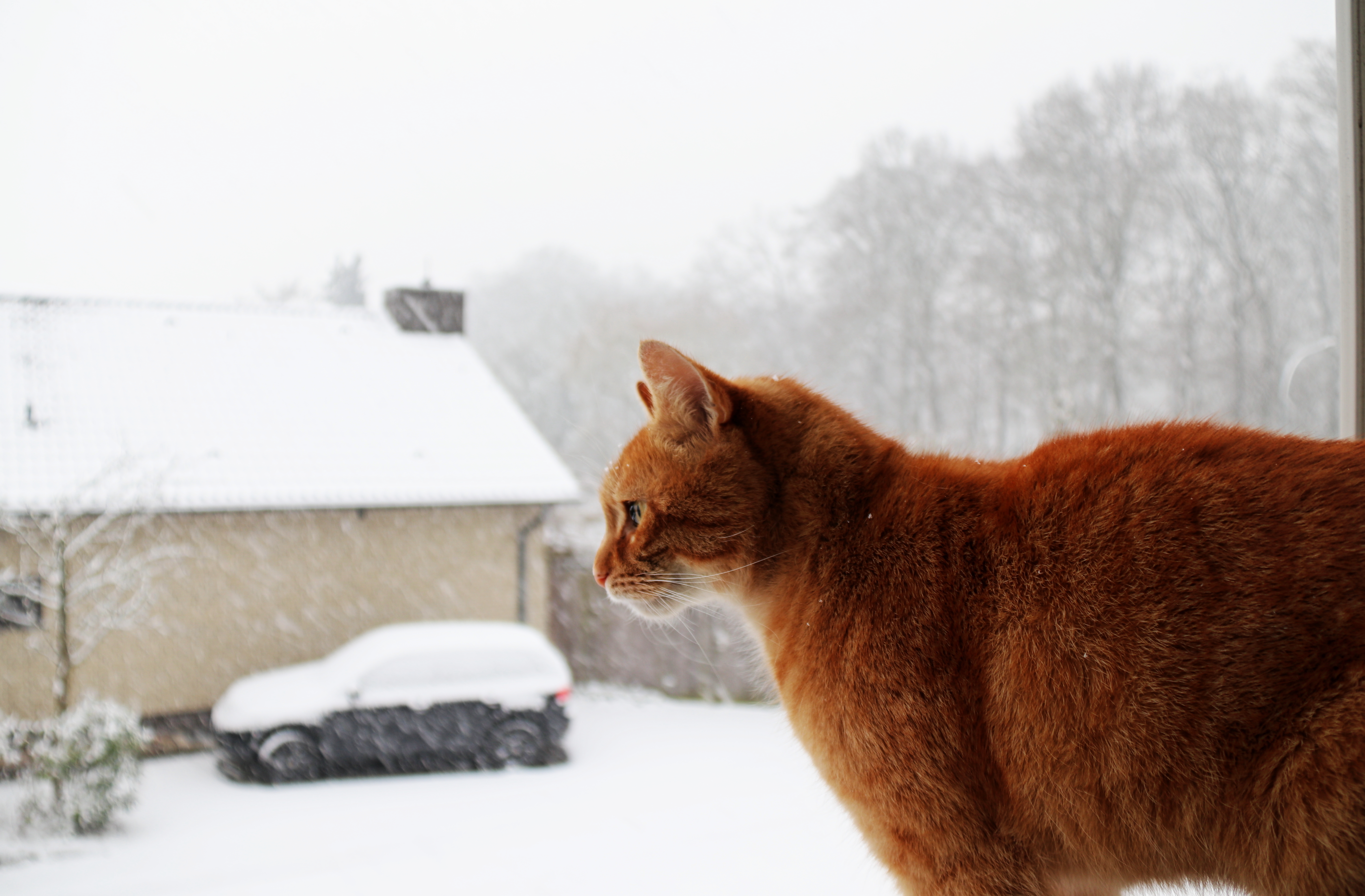 Kritischer Blick .................