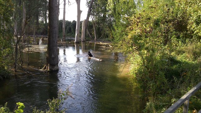Magische Orte - mit Wassernixe Foto: Maria Irkens