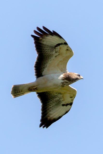von Olfen bis nach Berlin, hoffentlich kein Stau . . .