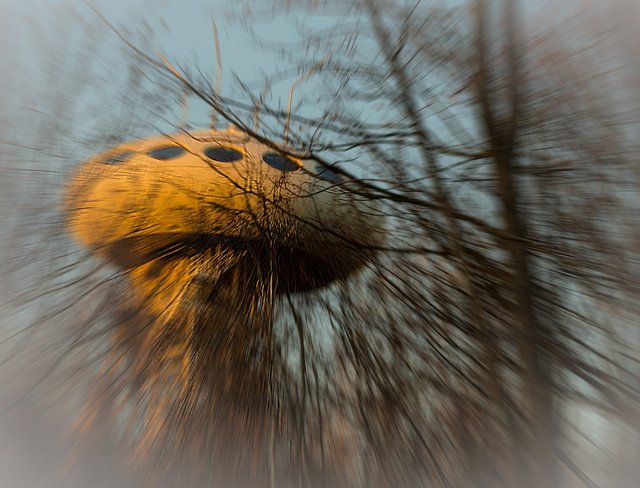 Grüsse aus einer anderen Welt . . . . . .