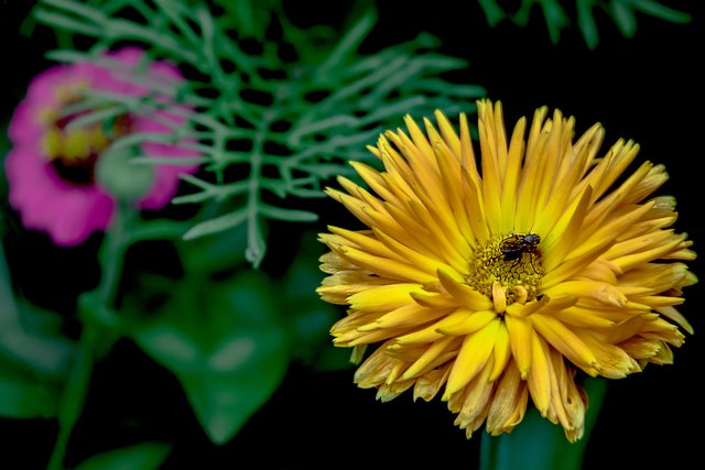 Heute Abend . . . . . .