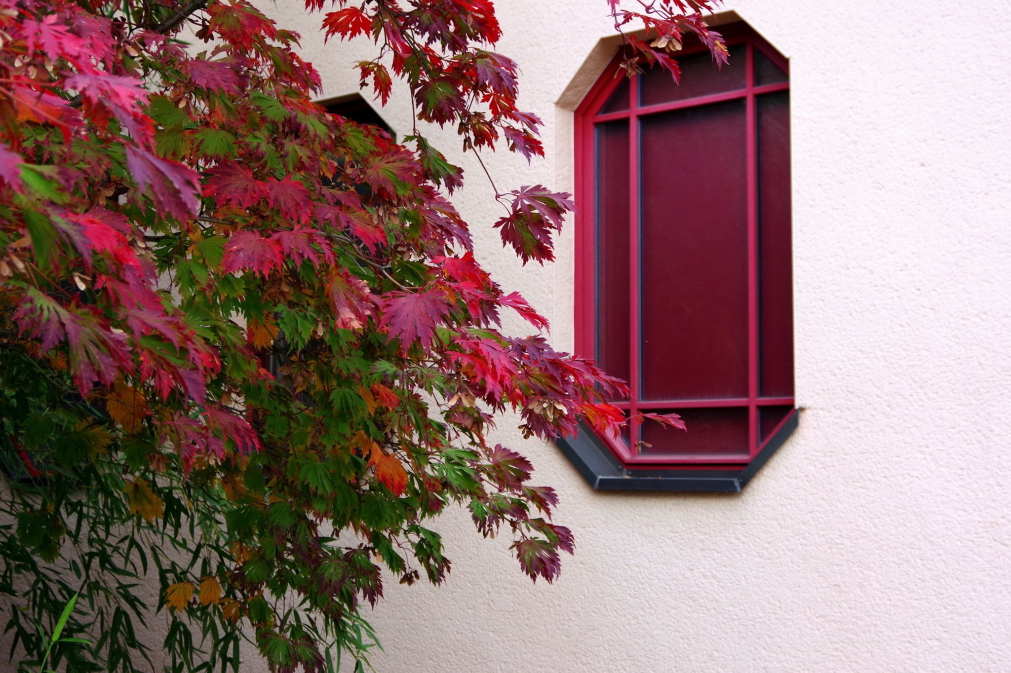 Schöne Herbstfarben