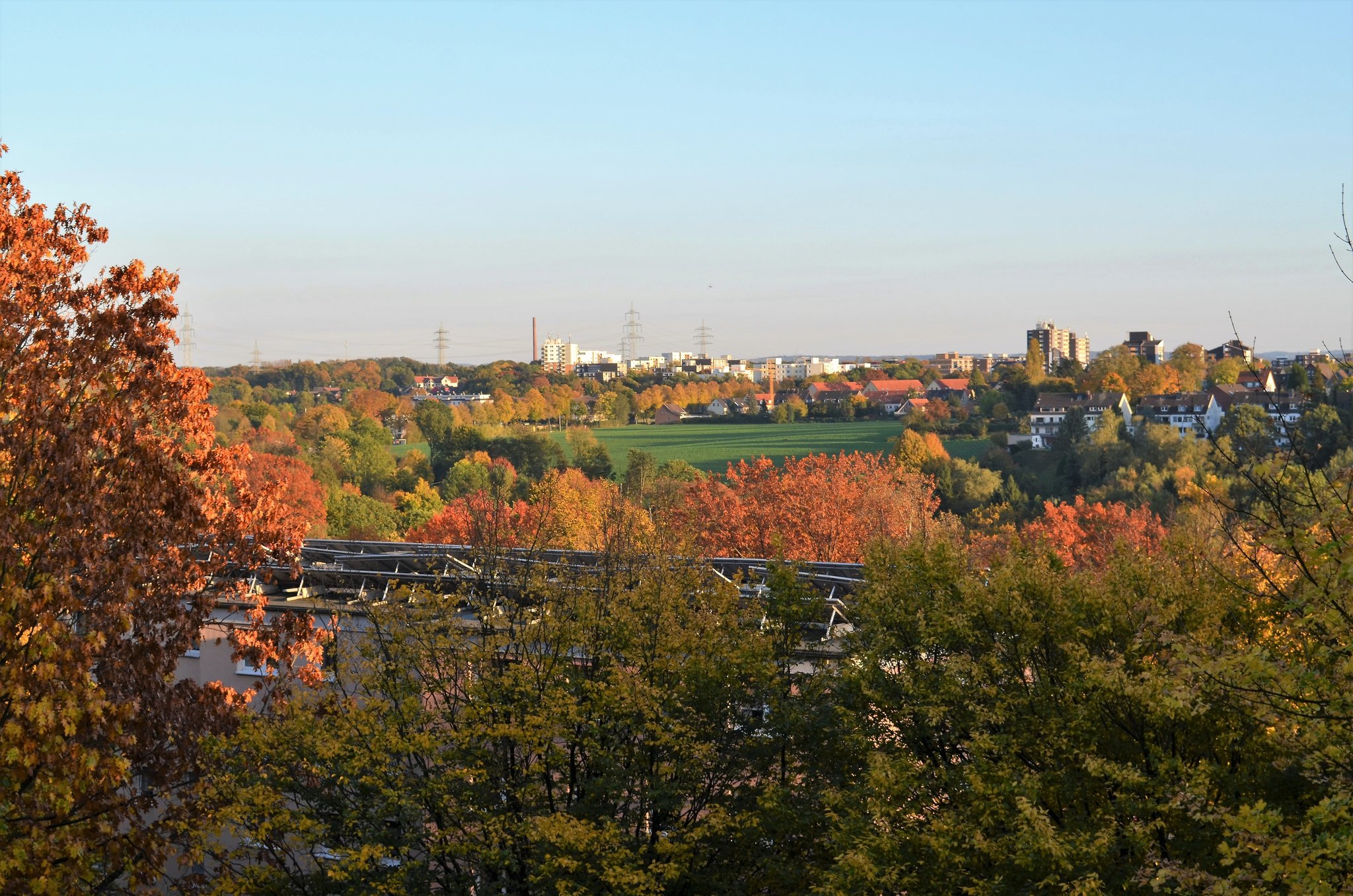 die grüne Stadt