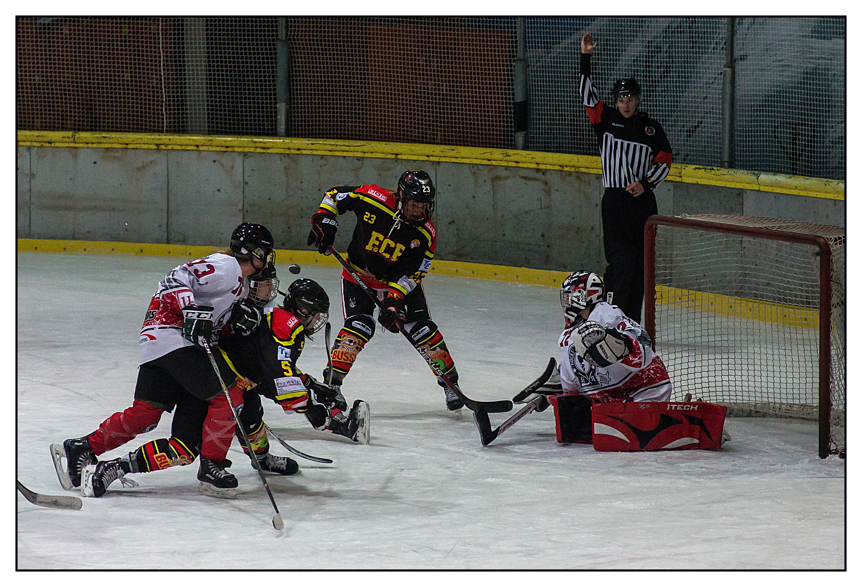 EC-Bergkamen (Bärinnen) vs SC-Langenhagen (Lady-Scorpions)