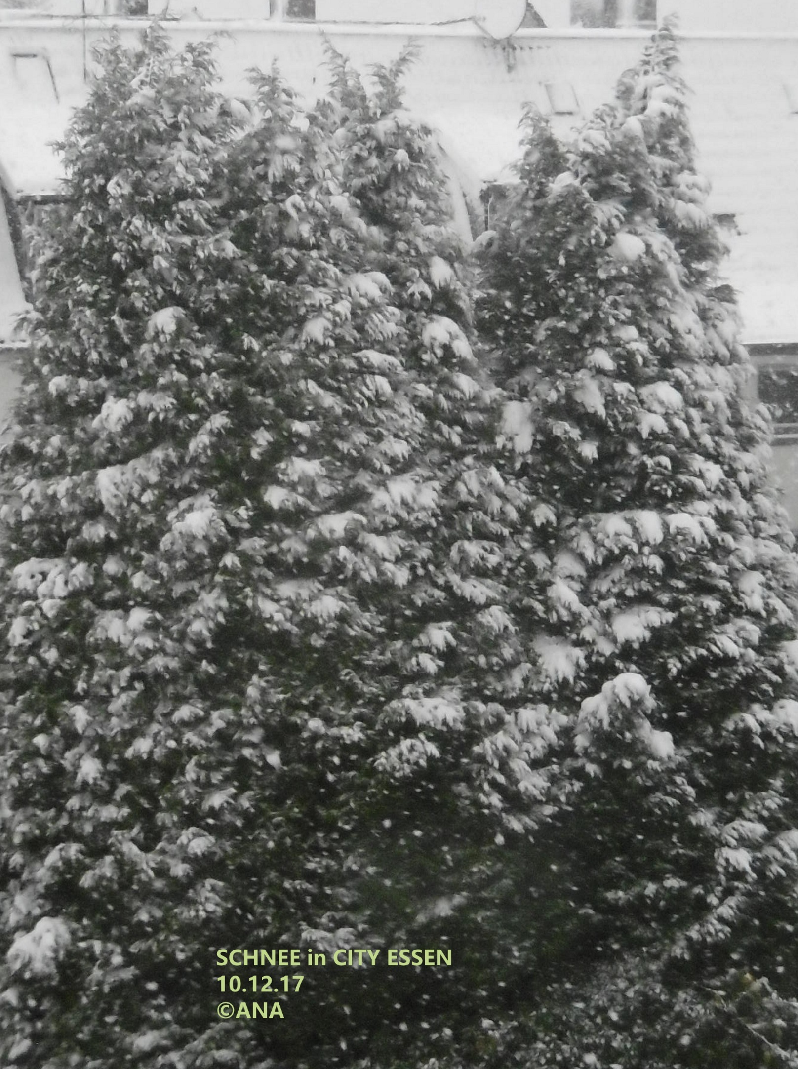 ...SCHNEE auch in ESSEN... am heutigen zweiten Advent 2017! LIEBE GRÜßE