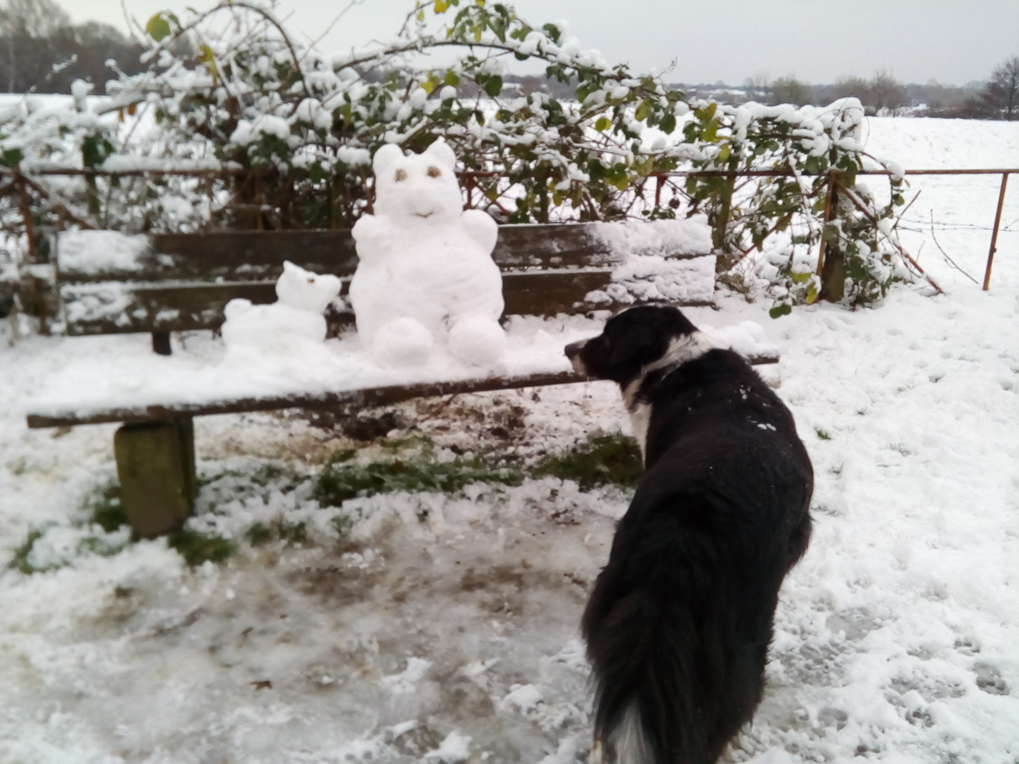 Der 1 Schneetedy mit Hund in diesem Jahr (",)
