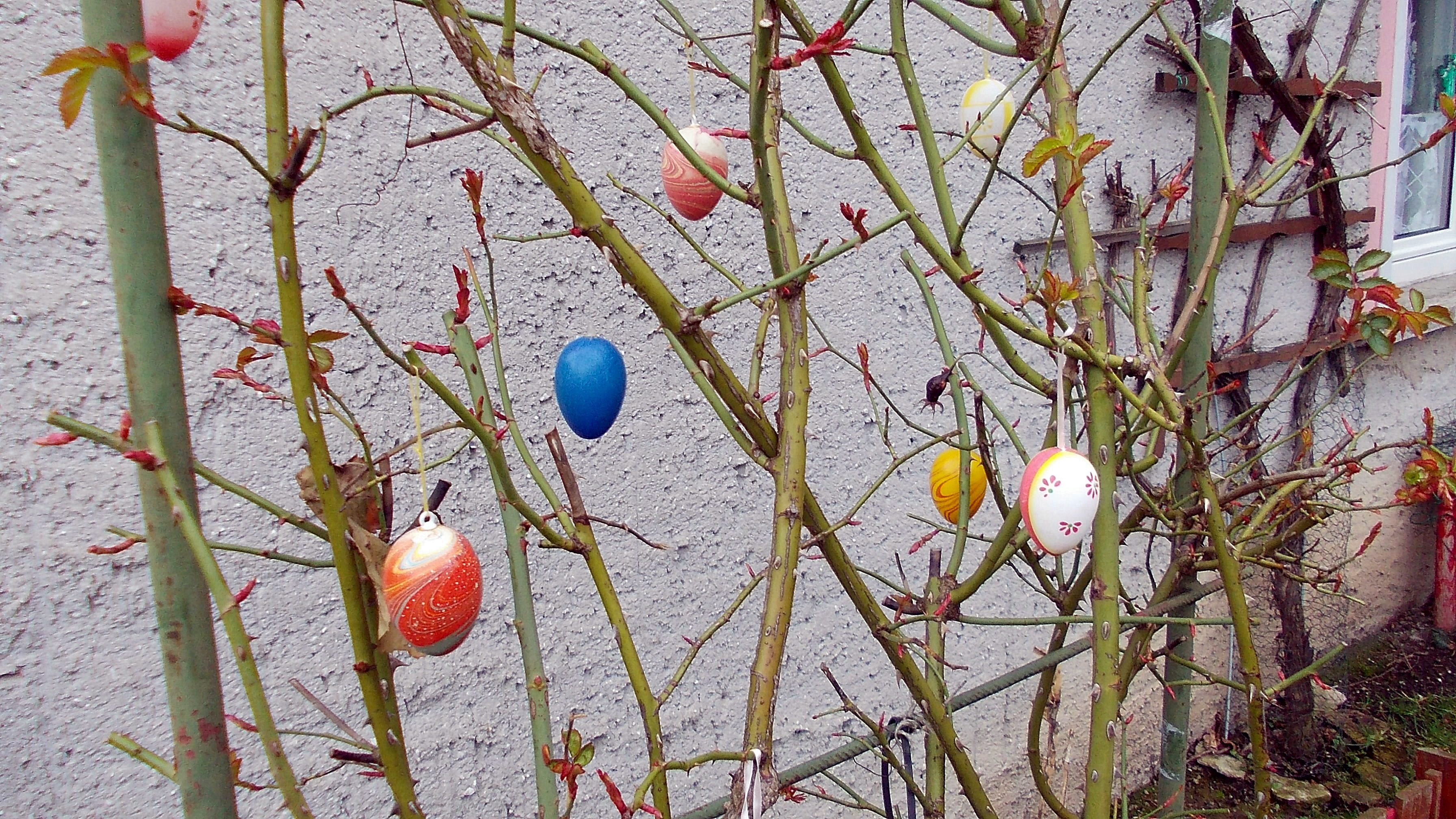 Warum auch nicht,es ist ja bald Ostern !!!