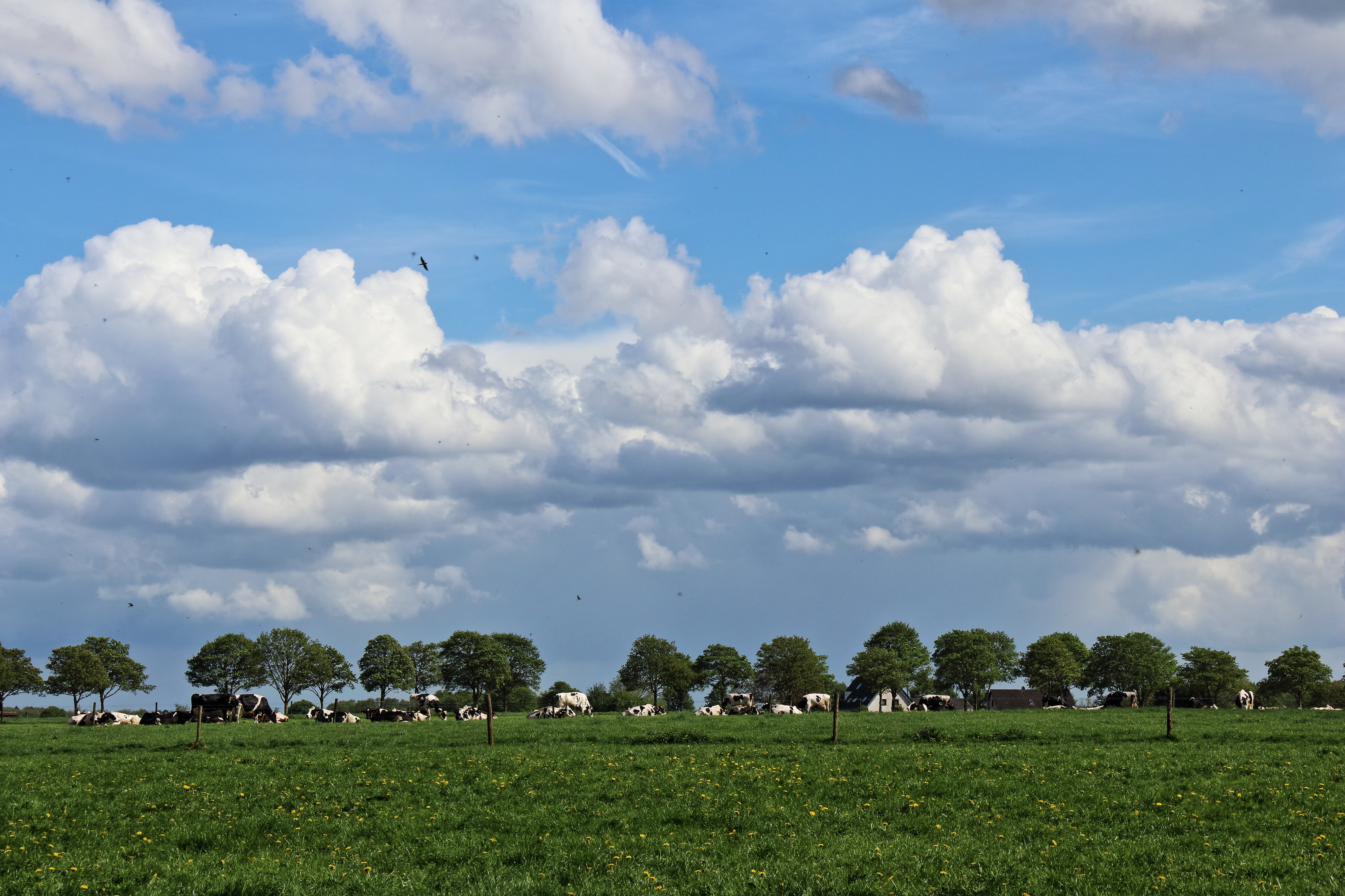 Wolken überm Nniederrhein