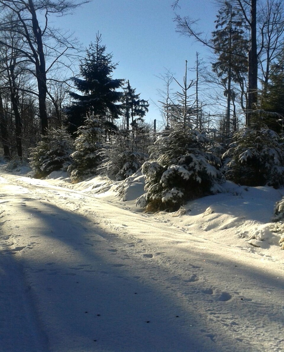 Fast unberührte Natur
