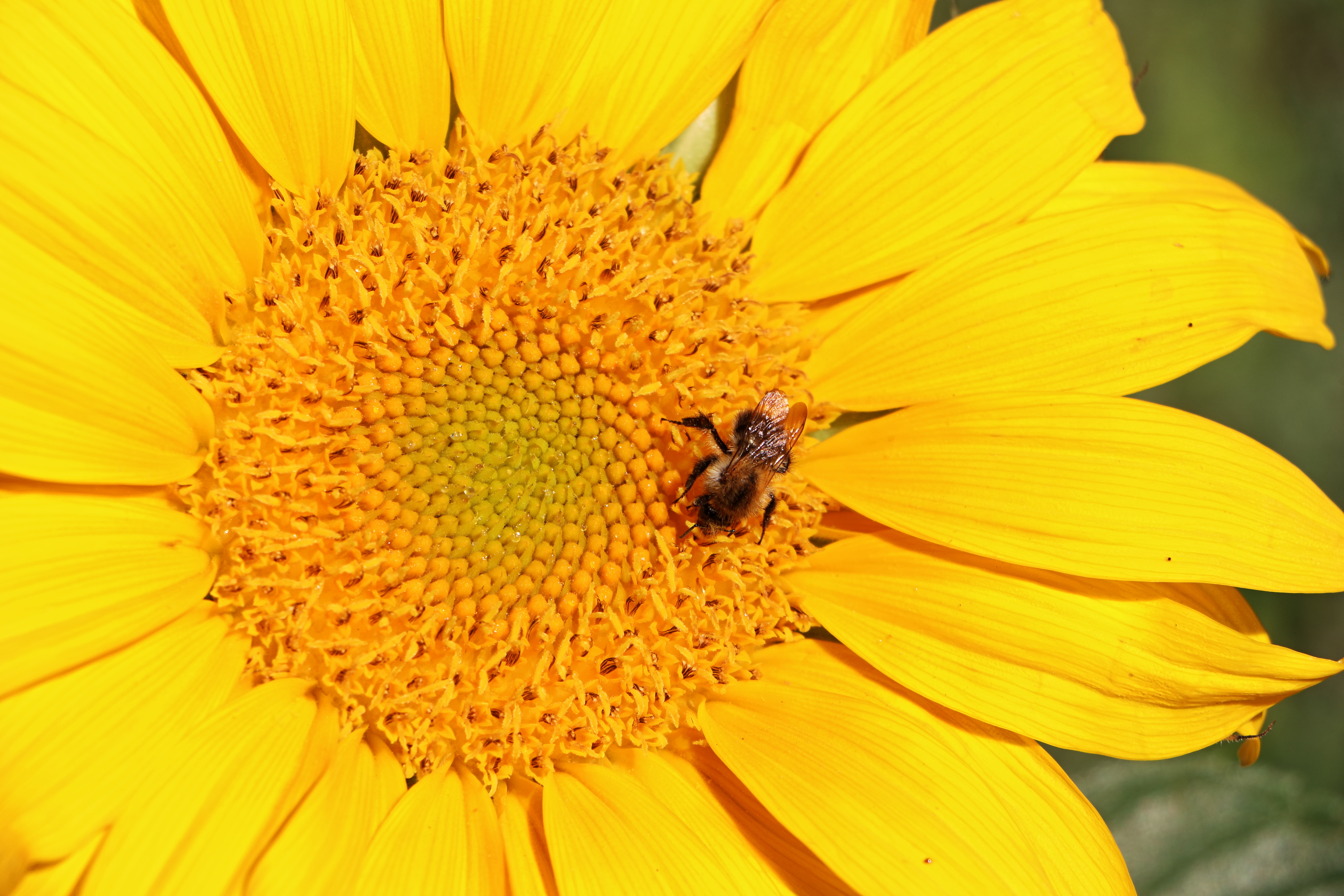 noch scheint die Sonne nicht ............