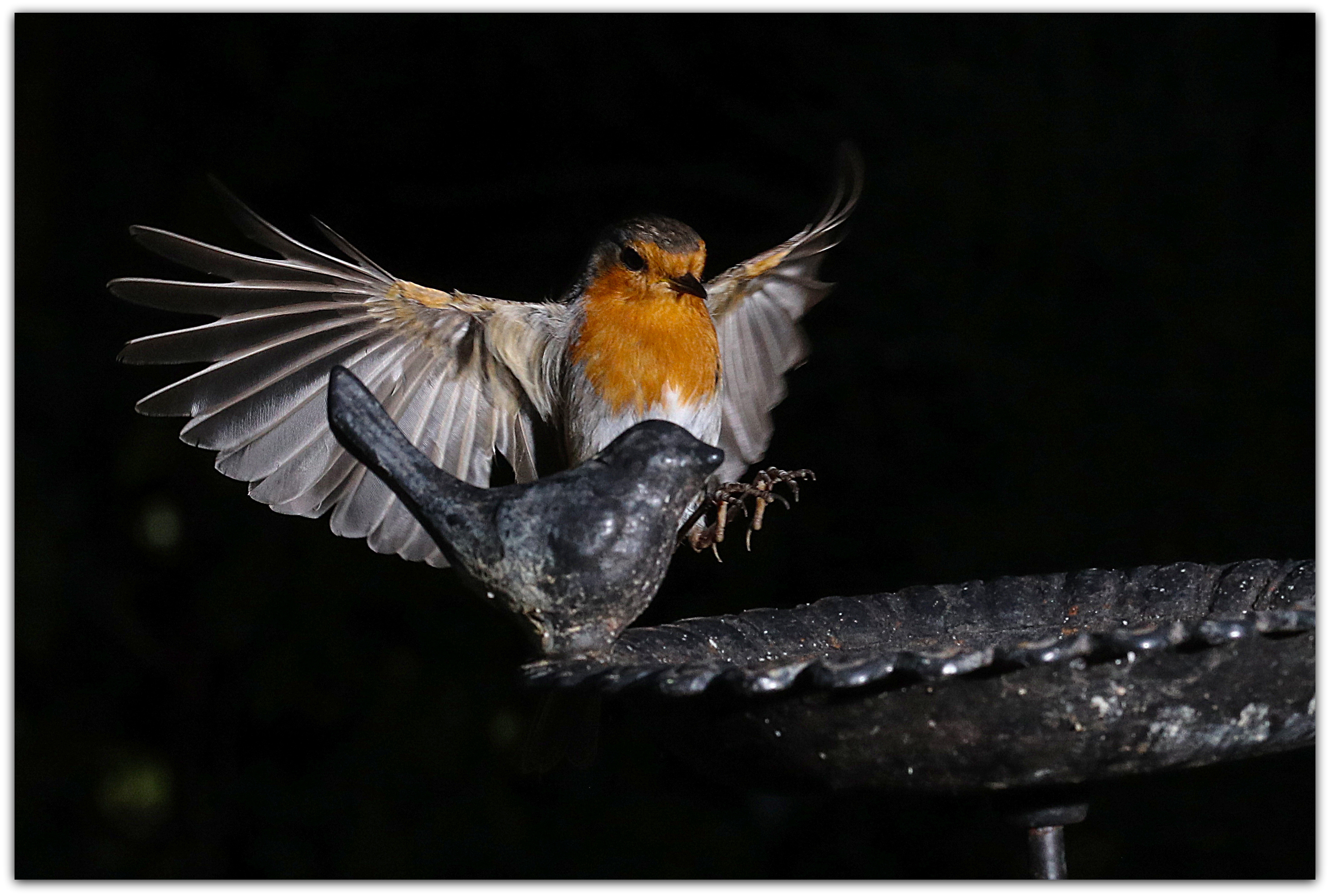 HSS-Aufnahme - 1/2000s - f/11 - Iso 800