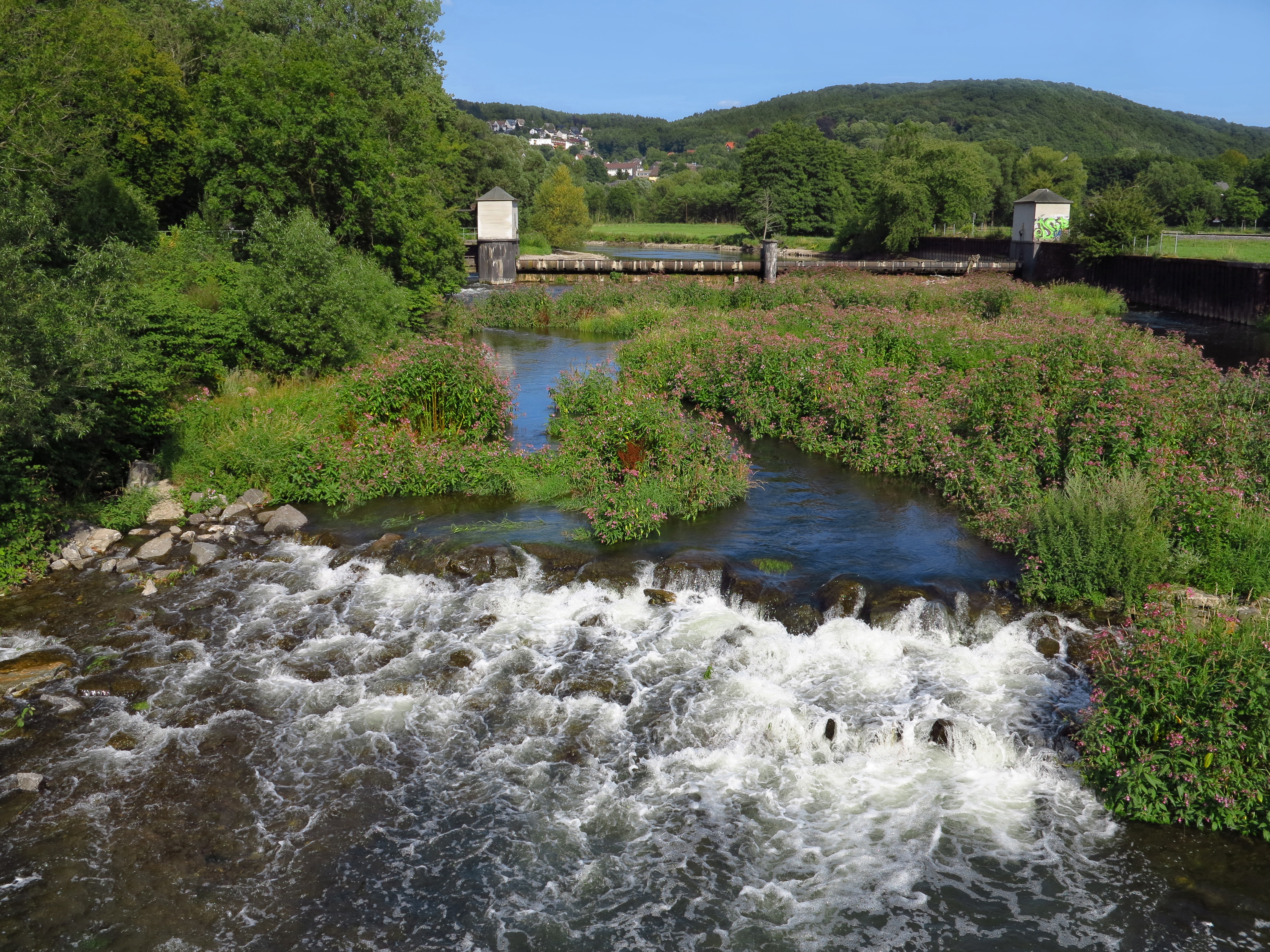 Staustufe an der Ruhr, Wehr am Mühlengraben in Arnsberg, am Scheitelpunkt der Ruhrschleife um das Eichholz wird der Fluss mittels eines Wehrs aufgestaut. Dadurch entsteht eine kontinuierliche Wasserzufuhr in den mehrere Kilometer langen Mühlengraben.
Fluss mit Auwald an der Ruhr im Naturpark Arnsberger Wald bei Arnsberg im Hochsommer. Naturschutzgebiet mit seltenen Tieren und Pflanzen.
NSG, Nordrhein-Westfalen, NRW.
View on the river Ruhr near Arnsberg, conservation area.