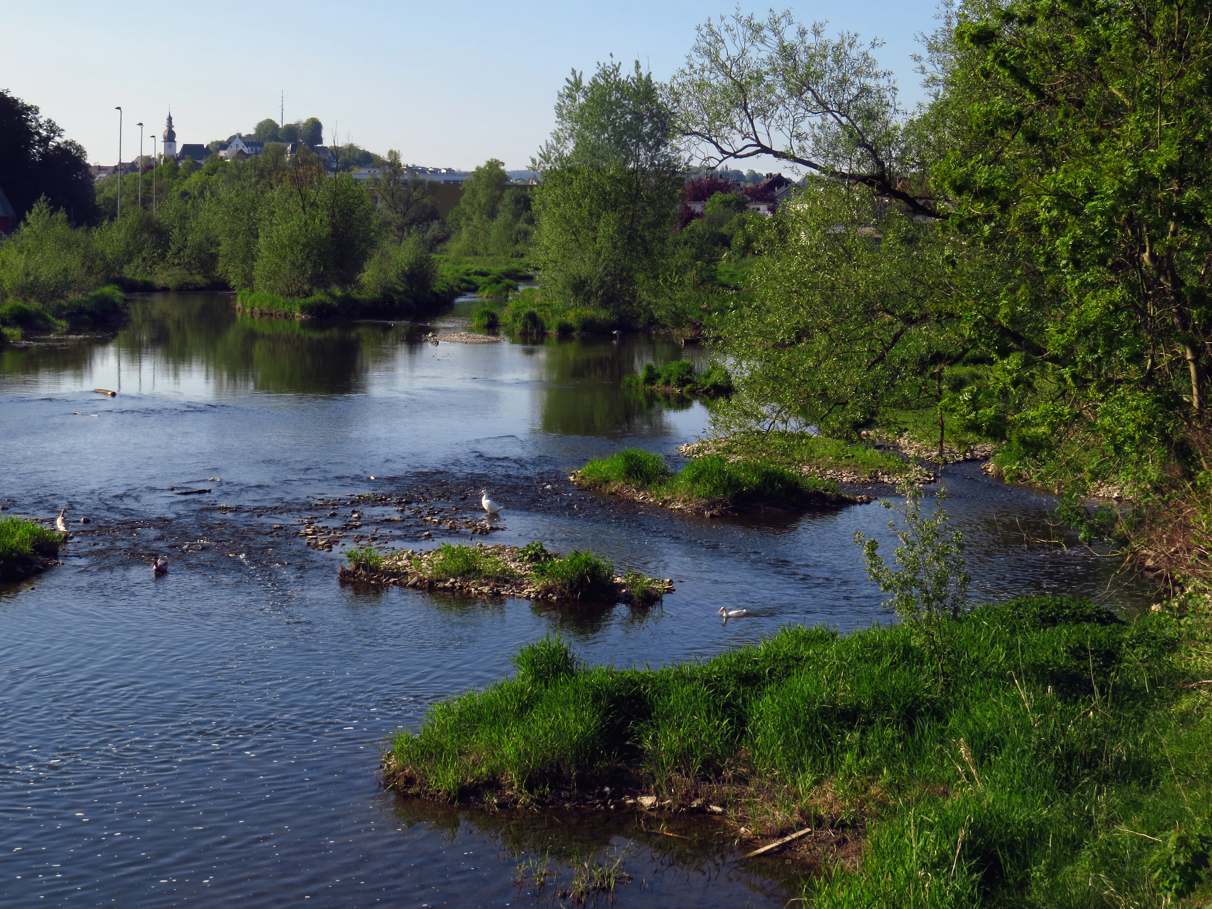 Arnsberg an der Ruhr, Blick von der Schützenbrücke flussaufwärts in Richtung Altstadt, mit flußbegleitendem Auwald, Naturpark Arnsberger Wald im Hochsommer. Naturschutzgebiet mit seltenen Tieren und Pflanzen.
NSG, Nordrhein-Westfalen, NRW.
View on the river Ruhr near Arnsberg, conservation area, with lowland riparian forest