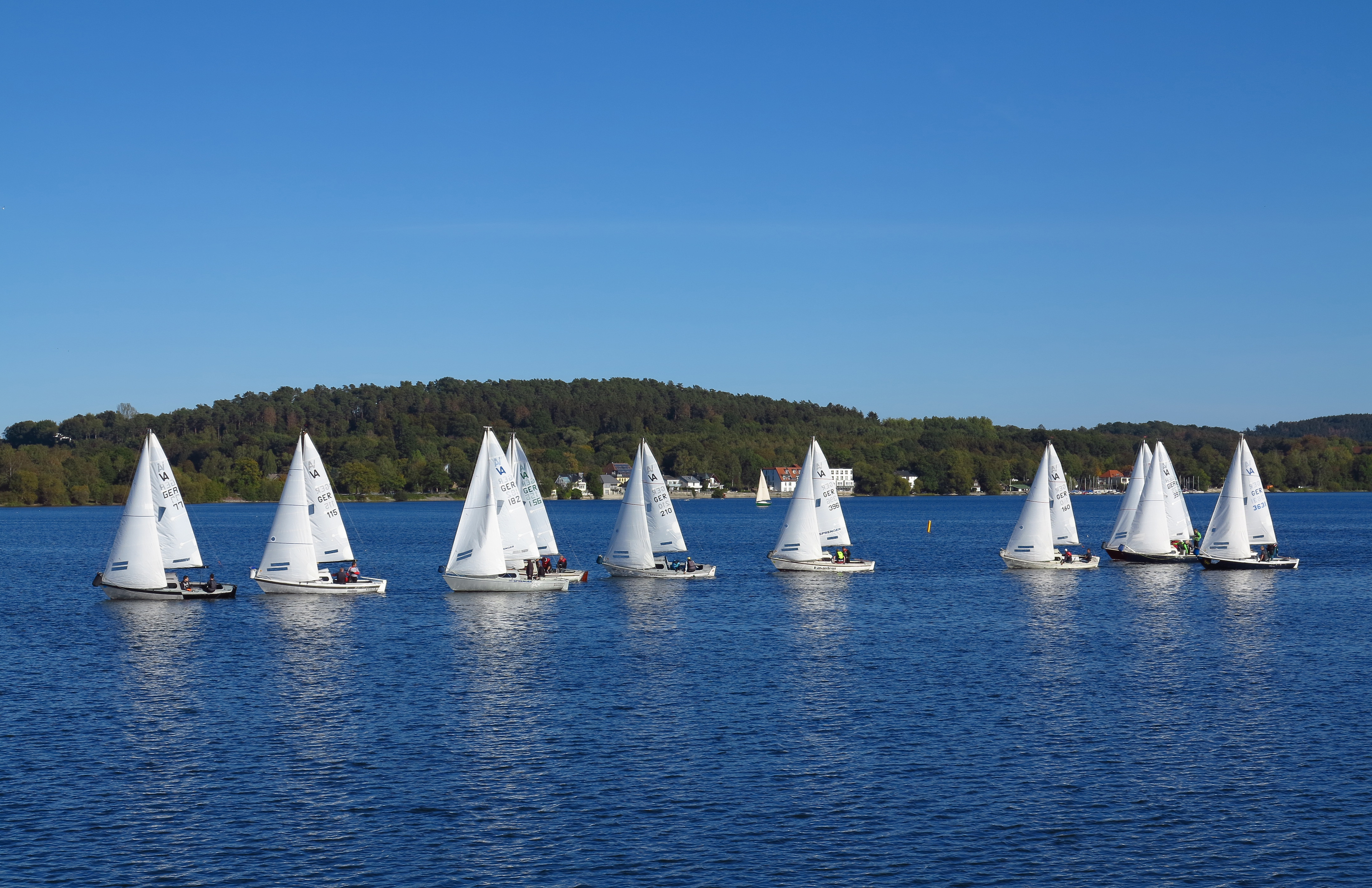 Segelsaison-Abschlußregatta auf dem Möhnesee bei Stockum (Kehraus YCWM - VA Regatta des Yachtclub Wamel-Möhne e.V.) viele weiße Segel vor strahlend blauem Himmel, dazu ein kräftiger Wind, ein schöner Anblick.