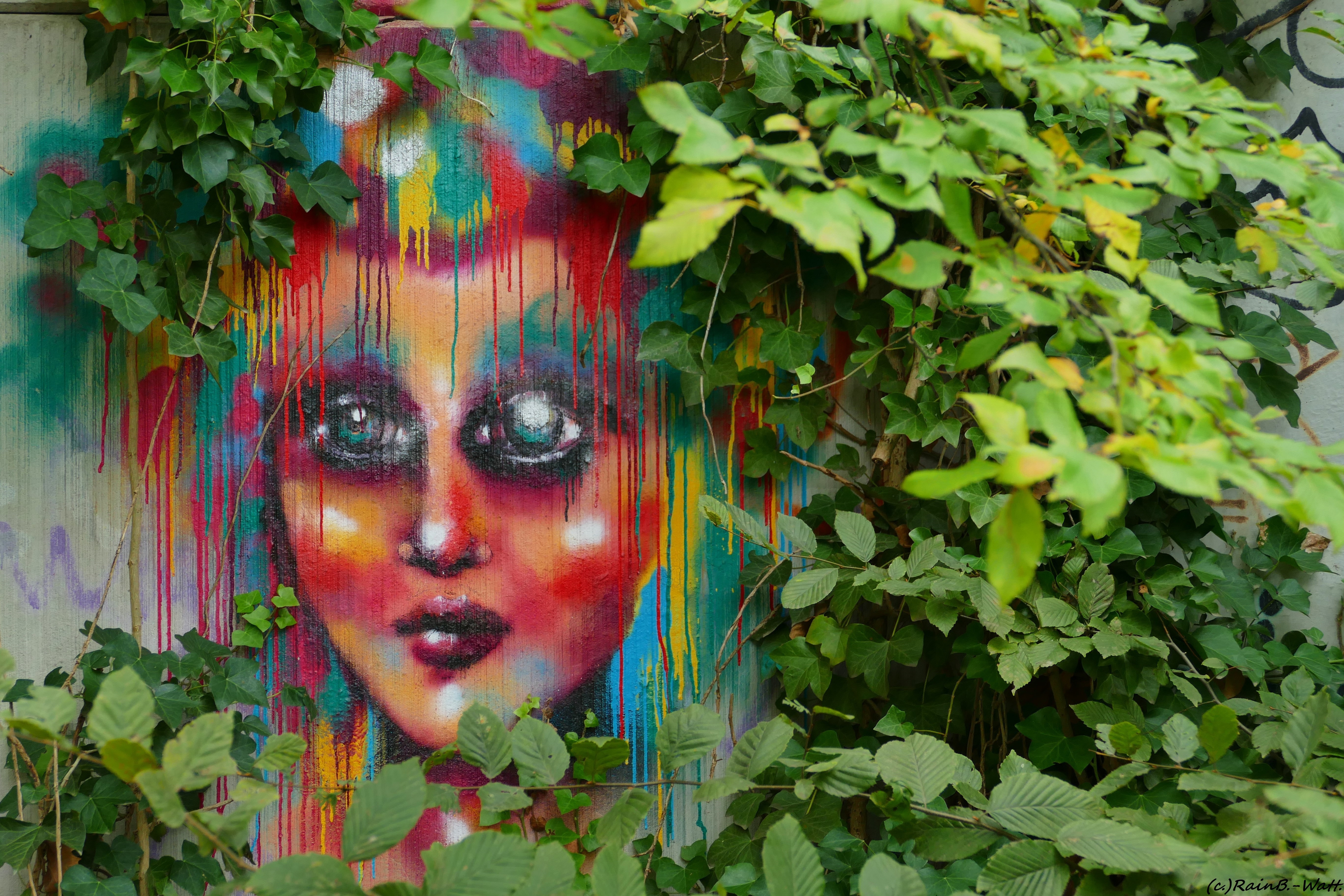 Eines von mehreren zugewachsenen Graffiti, welches von mit teilweise freigelegt wurde. Weitere Aufnahmen folgen in den nächsten Tagen. Foto: Rainer Bresslein