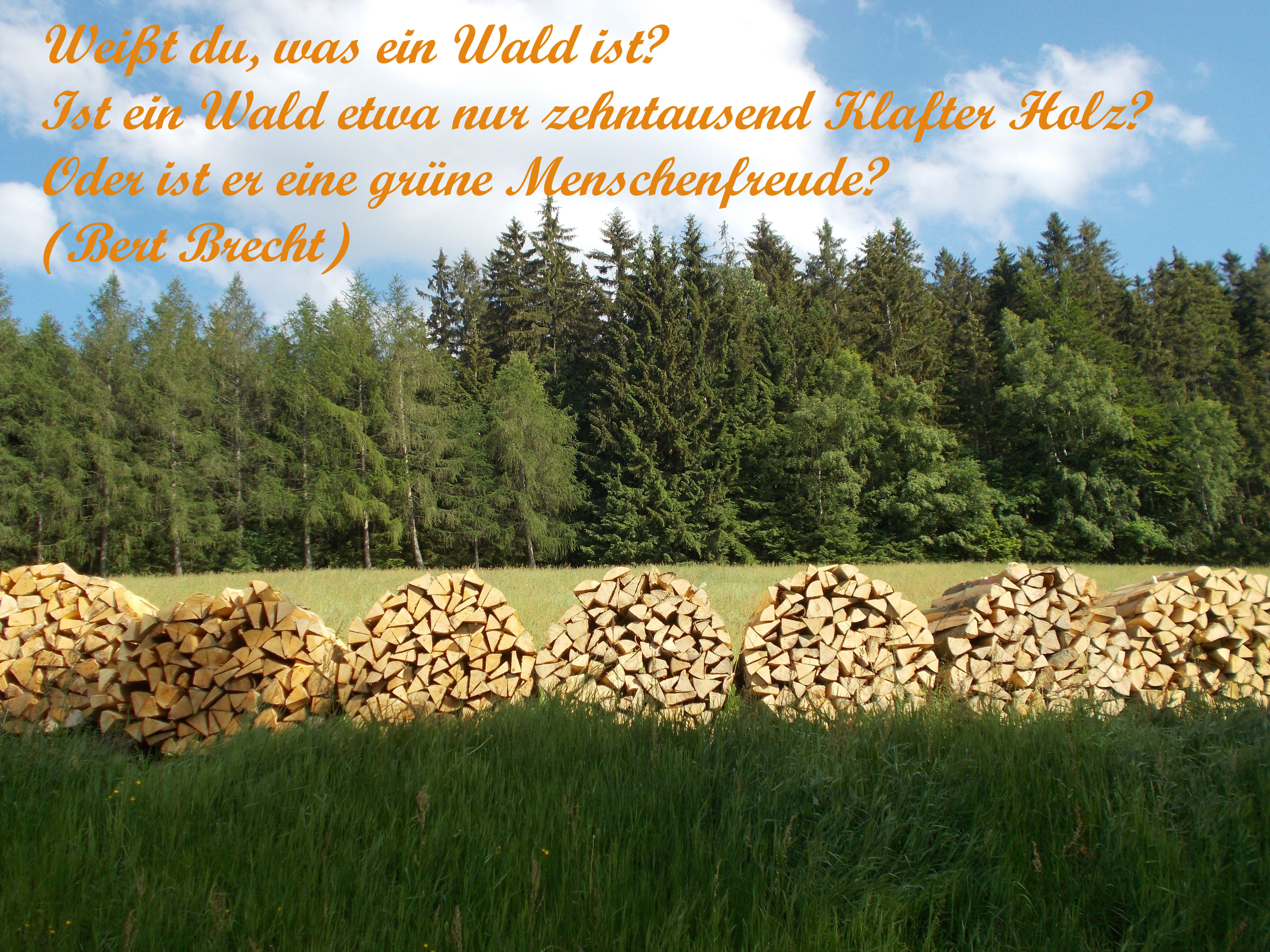 ... mit dieser Frage möchte ich euch in ein schönes und sonniges Wochenende schicken ...