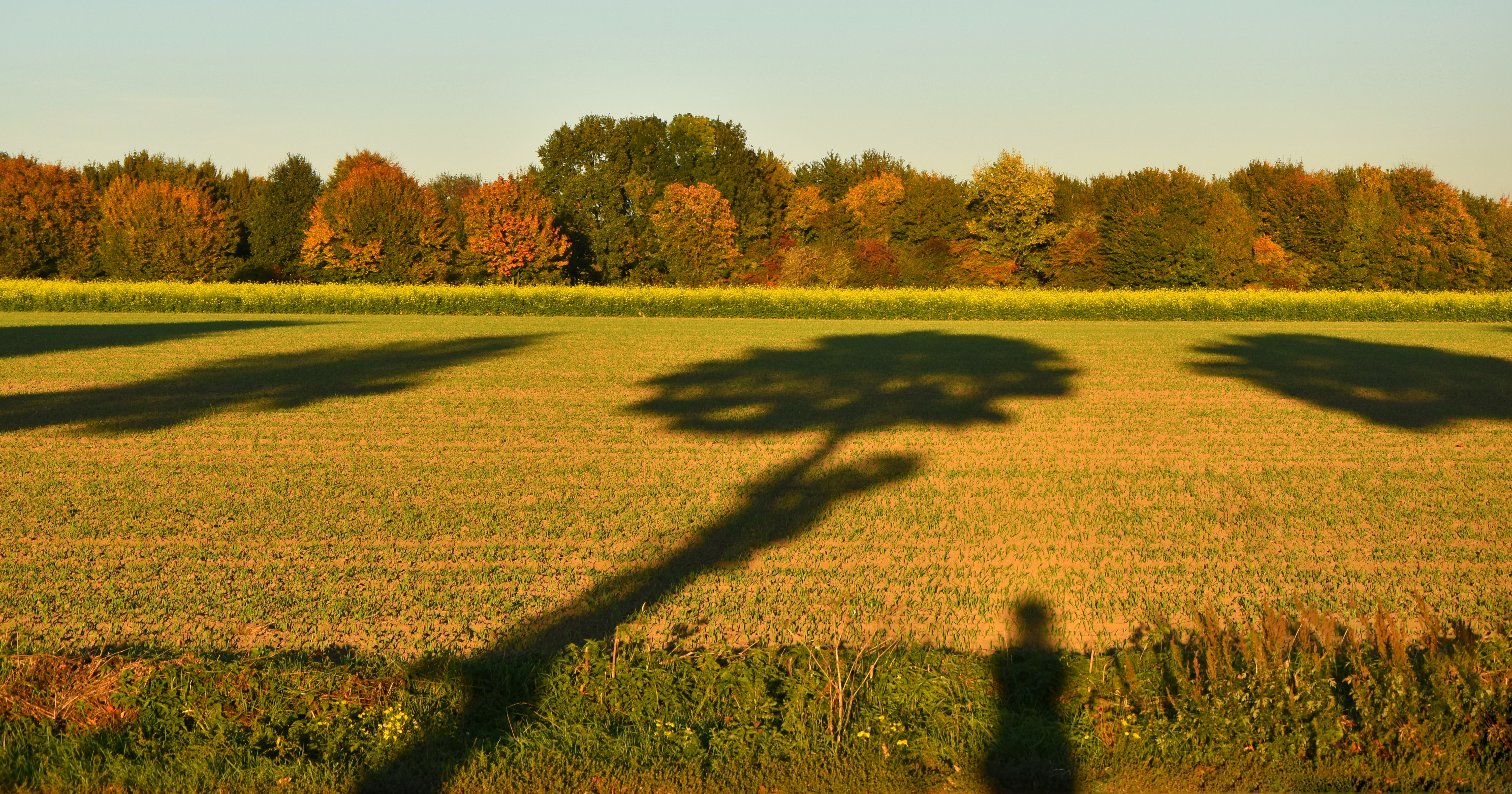 Gestern am frühen Abend warfen ein paar Straßenbäume diese langen Schatten. Der Herbst ist da. Ich wünsche allen einen schönen sonnigen Tag. (Bitte Vollbild)