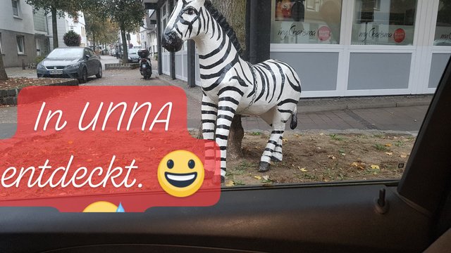 öh öh dachte unser Maskottchen wär der Esel - nun hat sich aber ein Zebra bei uns verirrt. :D