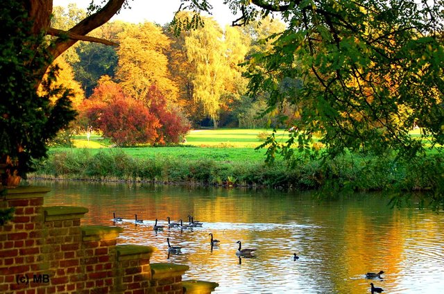 Foto: Schlossgräfte im Herbst