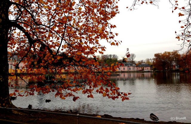 ...vom Schloss Benrath in Düsseldorf