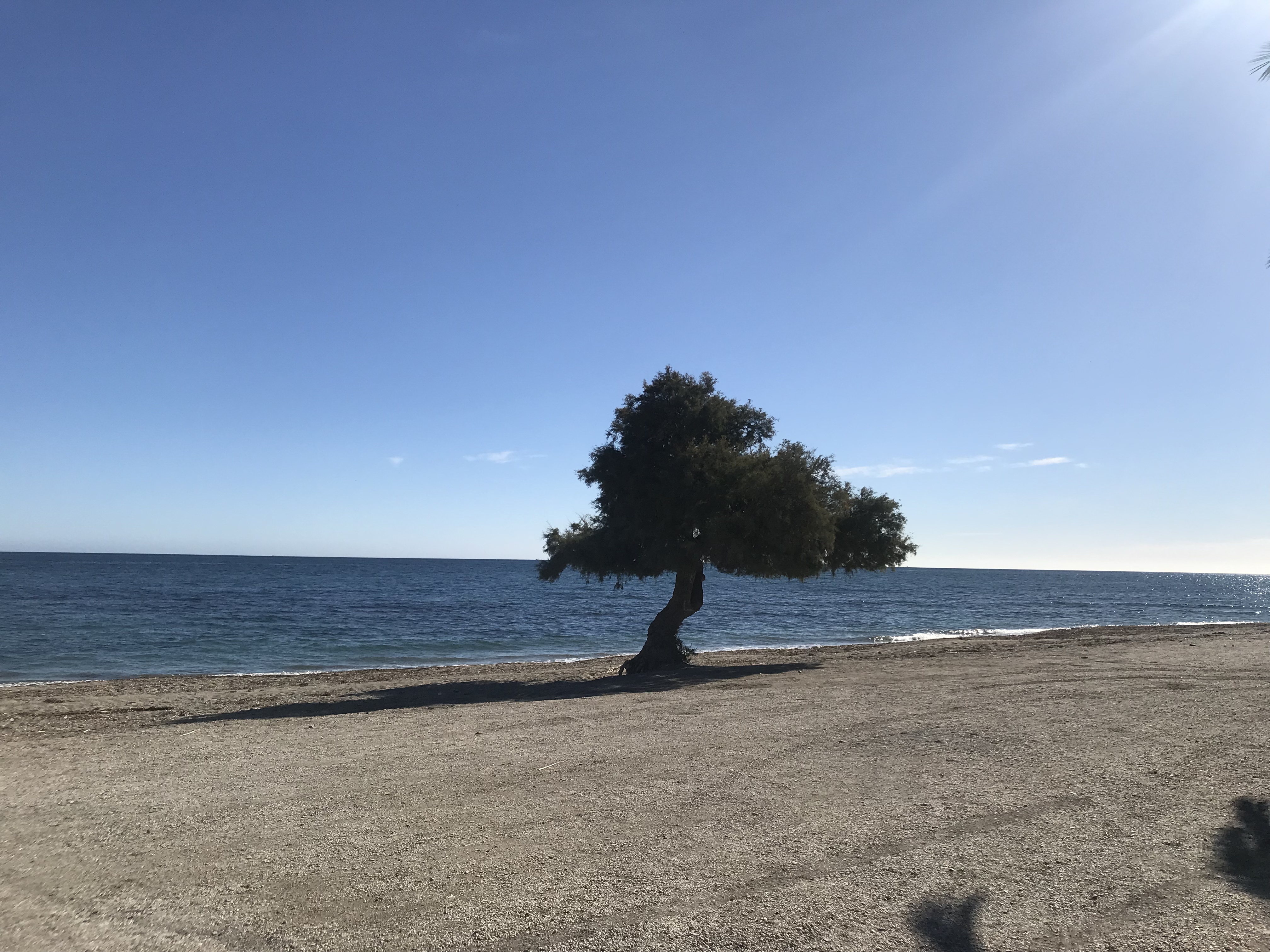 Grüße aus Andalusien. Roquetas de Mar