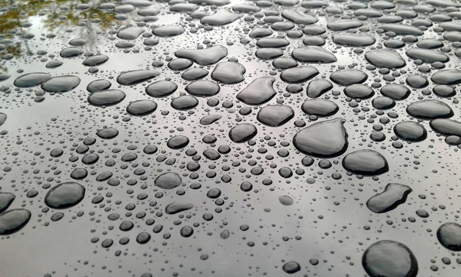 Regen und Wind in Dorsten.