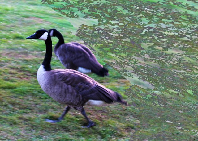 Schnell weg hier, da ist schon wieder so ein Knipser ;-))!