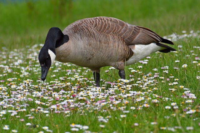 … im wahrsten Sinne des Wortes :-))