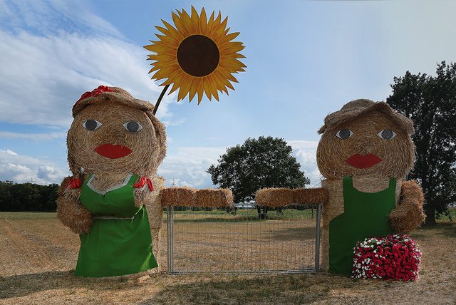 Wir wünschen allen "Lk-Freunden" einen schönen August bei angenehmen Temperaturen, gutes Licht und schöne Aufnahmen!