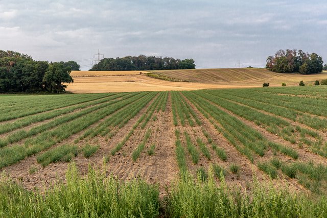 Blick über die Felder