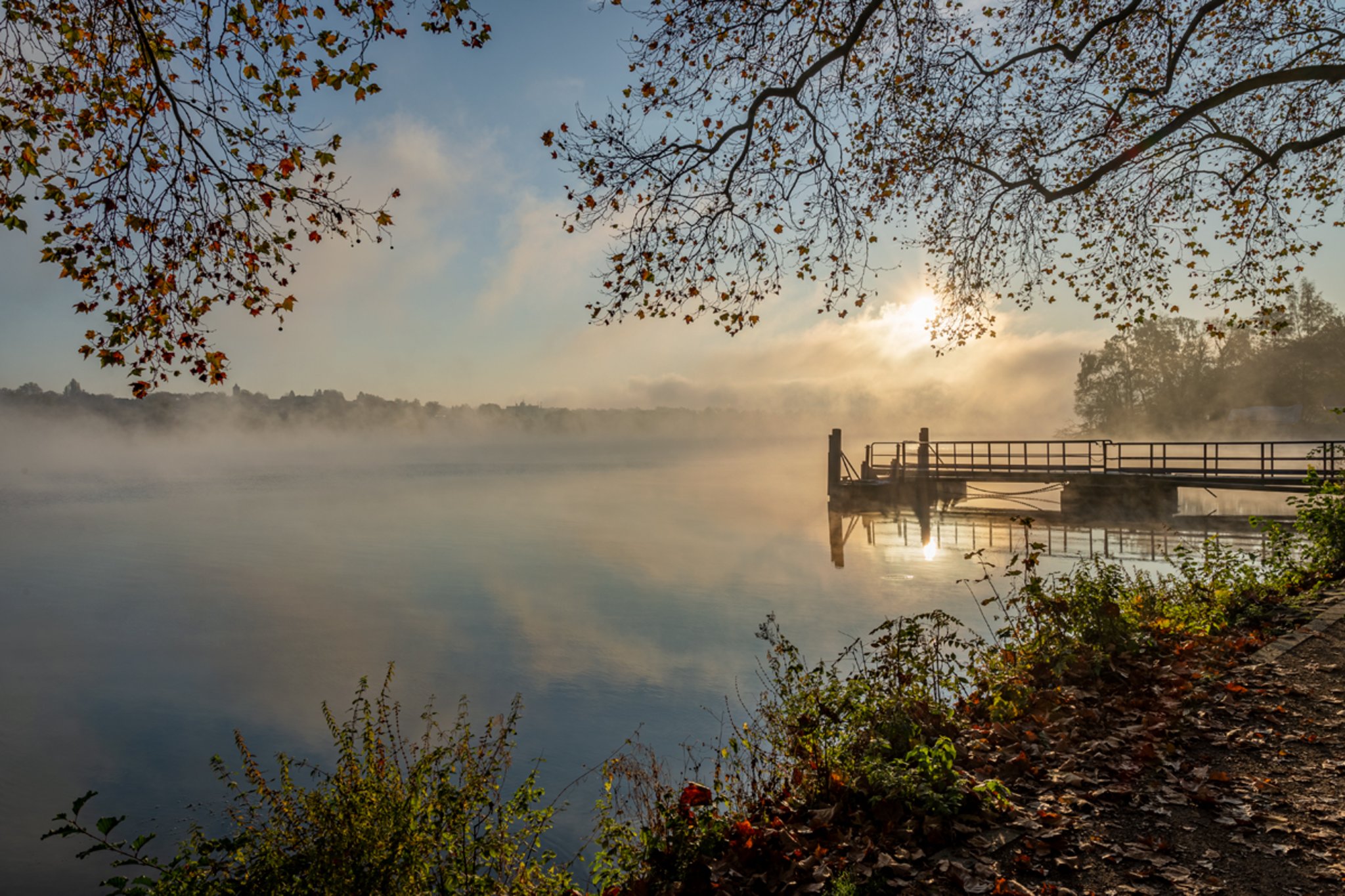 Herbstmorgen am Baldeneysee