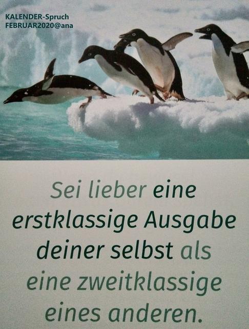 Download Sei du selbst spruch HD