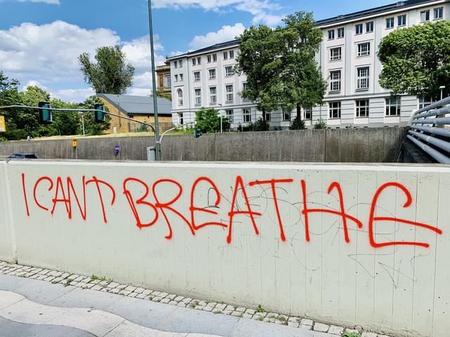 Gesehen in Düsseldorf an den Rheinpromenaden. Foto: Jungvogel