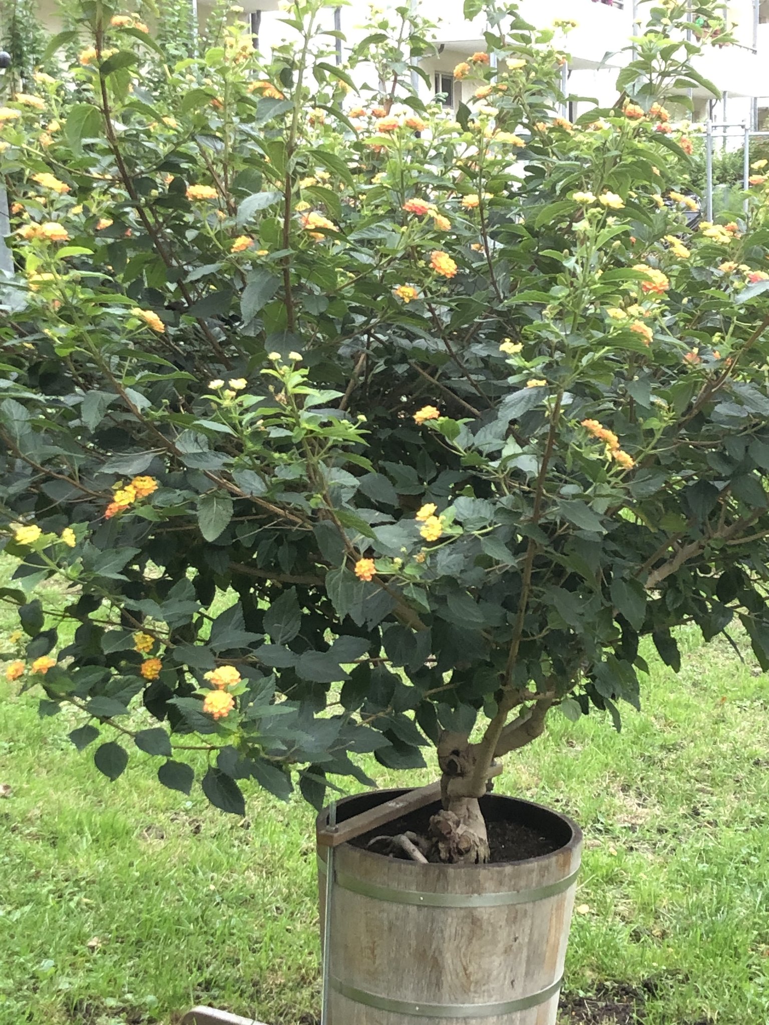 Das Traumhotel Online Sehen