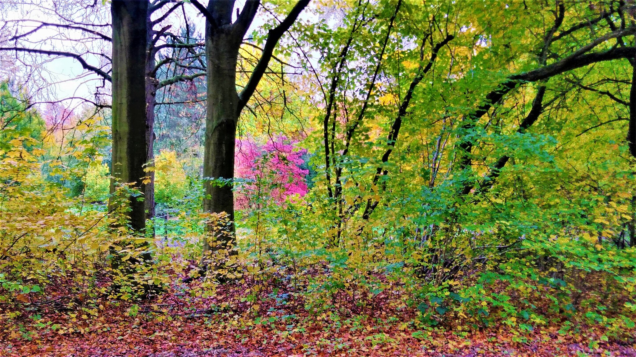 Südpark Bochum Südpark Bochum