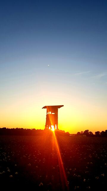 Der richtige Durchblick! Titelbild Gocher Wochenblatt in der Ausgabe vom 11.07.2020
Sonnenuntergang über einem Kartoffelfeld in Nierswalde. 