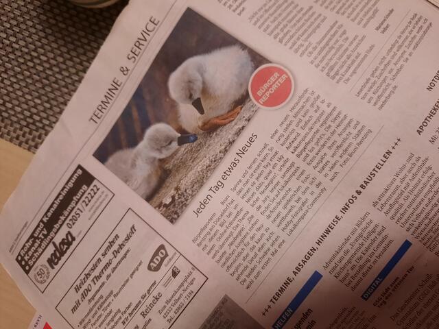Bruni Rentzings Foto zum Thema "Neubeginn" heute im Stadtanzeiger Niederberg.
