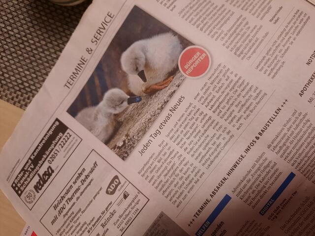 Bruni Rentzings Foto zum Thema "Neubeginn" heute im Stadtanzeiger Niederberg. 