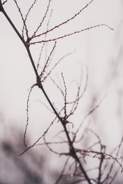 Winter in Wiblingswerde